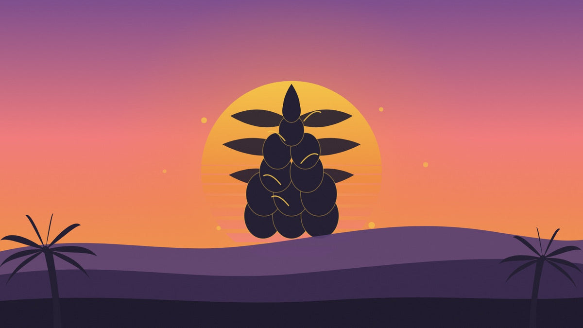 Illustrerad solnedgång med ananas och palmblad i 70-talsfärger – Lyfted Journal