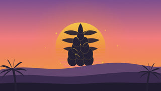 Illustrerad solnedgång med ananas och palmblad i 70-talsfärger – Lyfted Journal