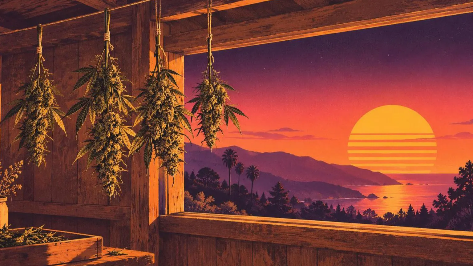 Retroillustration i solnedgångsstil: cannabisgrenar som hänger på tork på snören i ett varmt trärum, med solnedgången genom fönstret