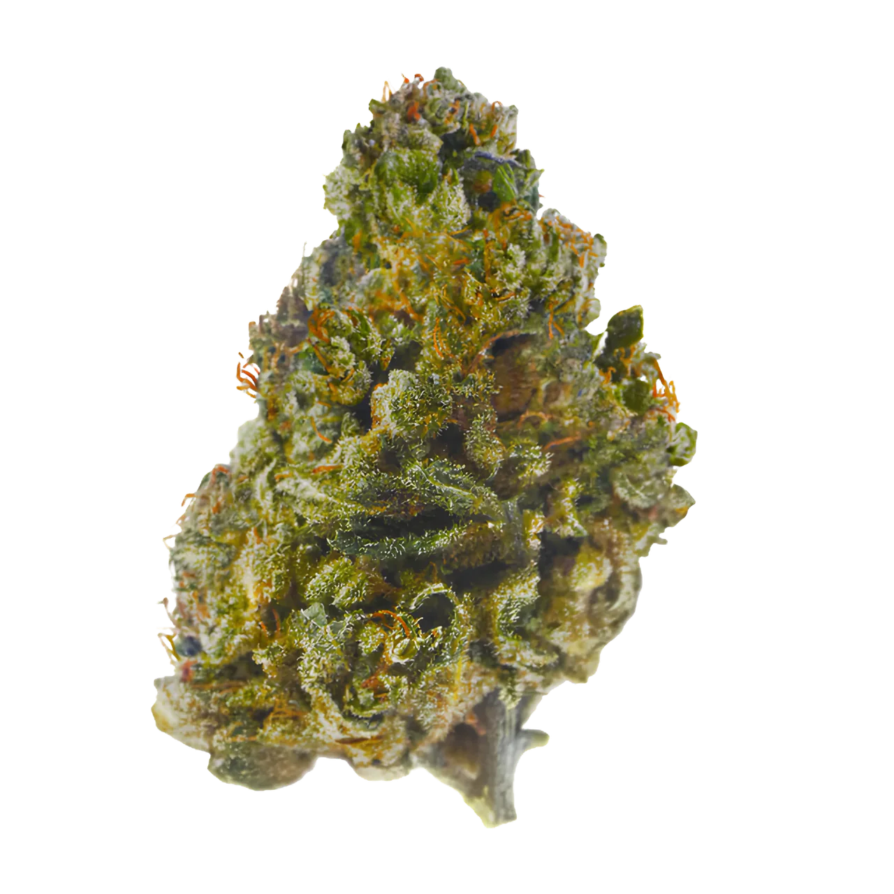 Granddaddy Purple buds med 30 % THCA-B från Lyfted: kompakt topp med mörka toner och orangea pistiller
