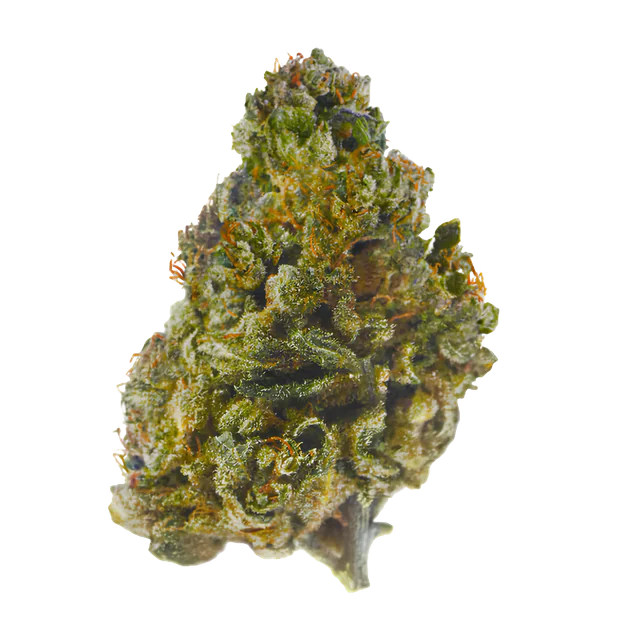 Granddaddy Purple buds med 30 % THCA-B från Lyfted: kompakt topp med mörka toner och orangea pistiller