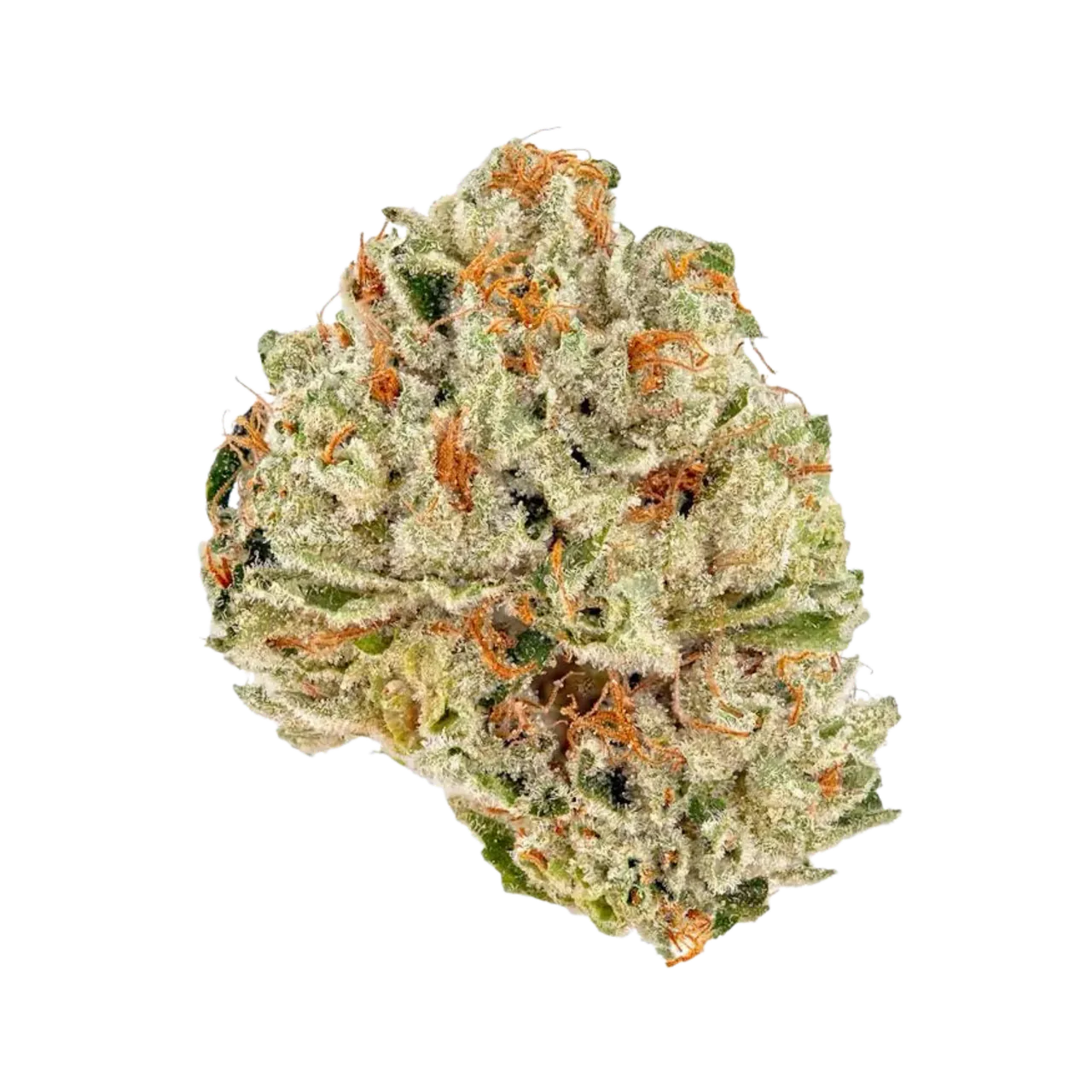 Tangerine buds med 30 % THCA-B från Lyfted: avlång ljusgrön topp tätt täckt av kristaller och orange pistiller